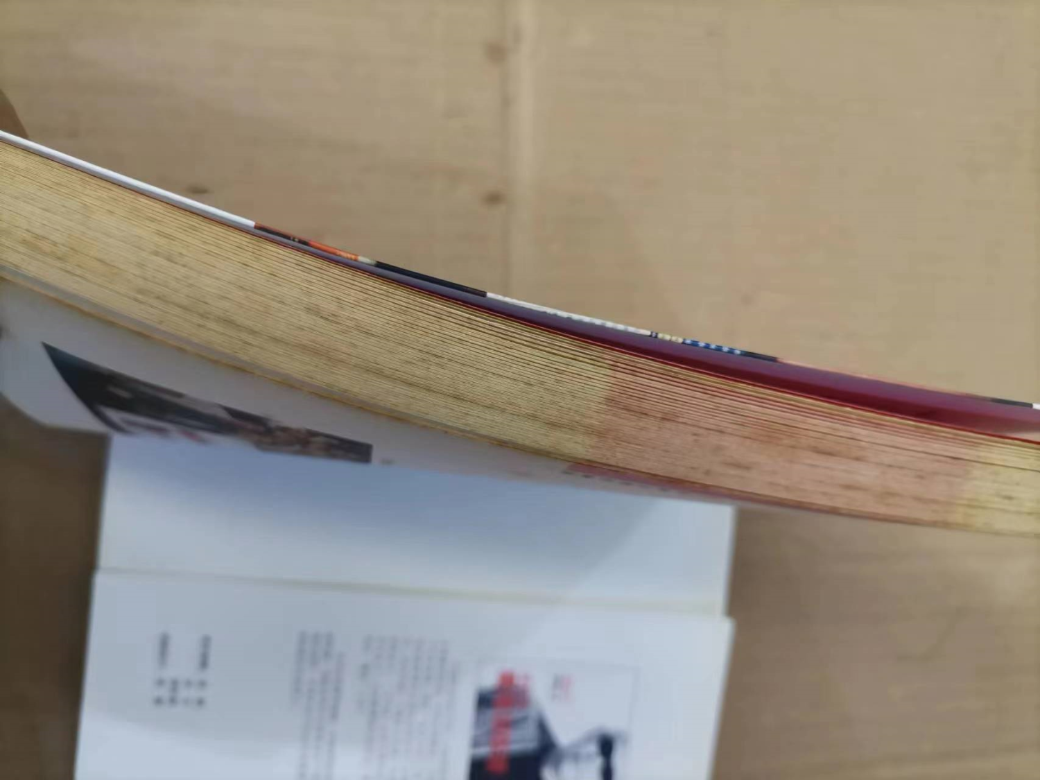 书籍内部和侧面明显霉斑，书籍散发明显霉味