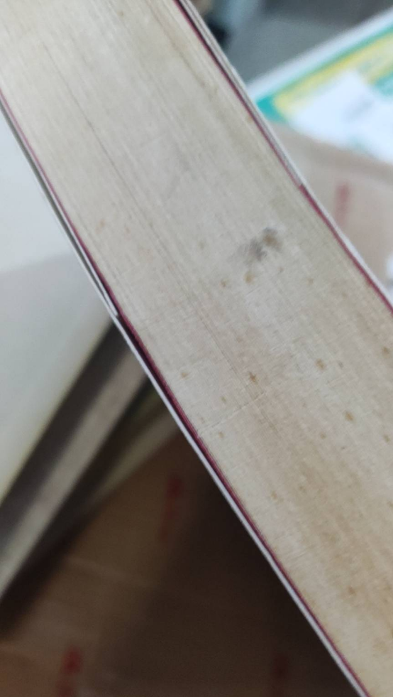 书籍内部和侧面明显霉斑，书籍散发明显霉味